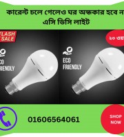 Wholesale Price AC/DC Light 2 Pcs